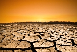 environment pictures