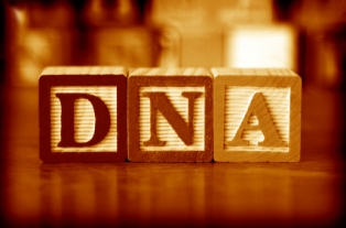 DNA mutation