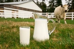 raw milk