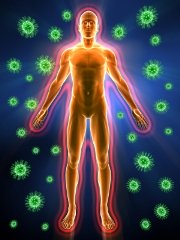 immune system pictures